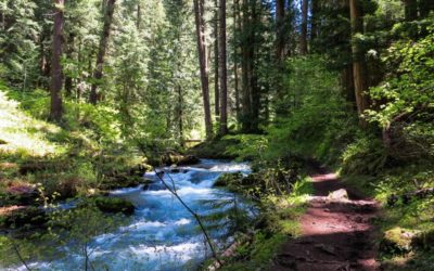 It All Flows Downstream: Unique opportunity to plan for the future of our public lands in Central Puget Sound