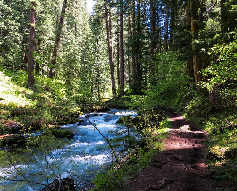 Green Water River USFS