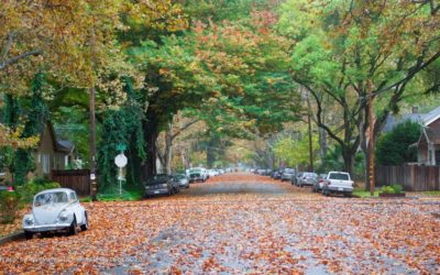Urban Trees Save The US Up To $12 Billion Annually