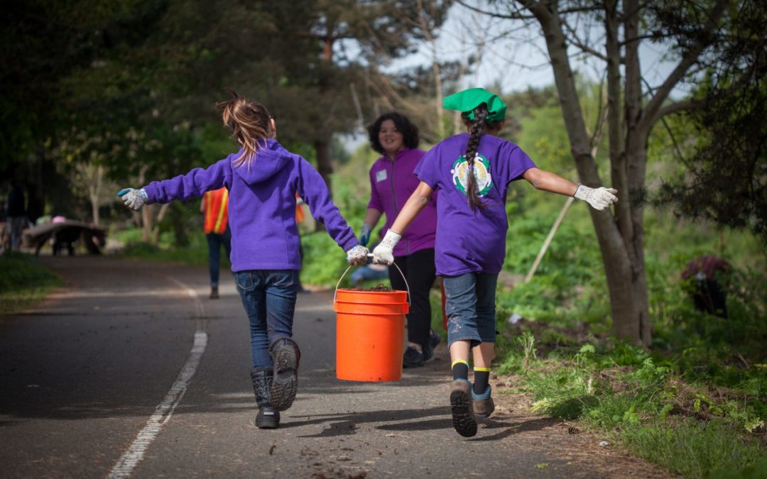 Dig In and Help Tukwila’s Crystal Springs Park