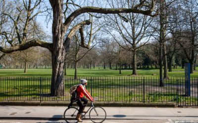 The Power of Parks in a Pandemic