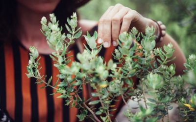 A Dose of Nature Improves Mental Health