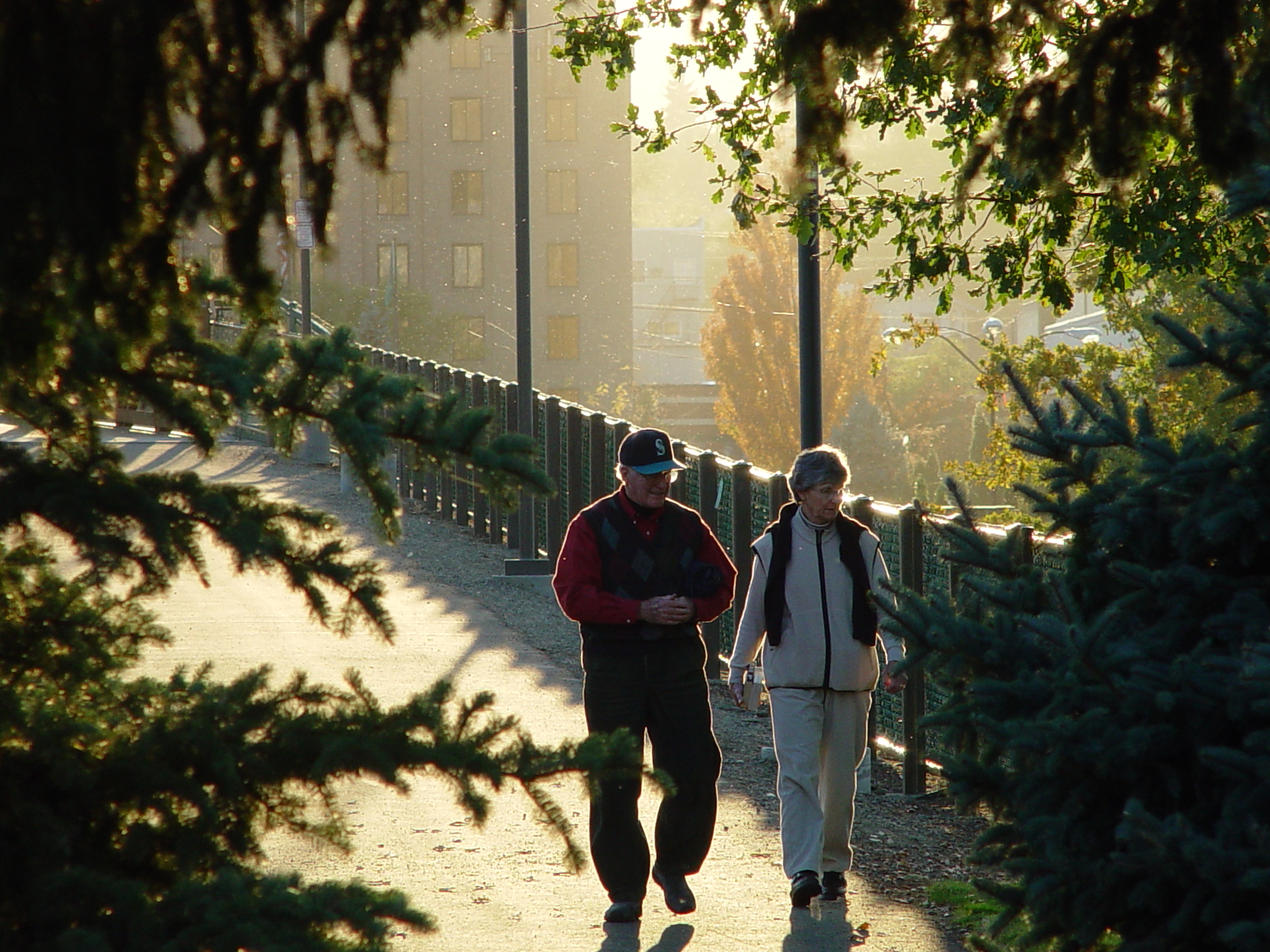 Two people walking in a park