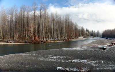 Economic Outcomes of Urban Floodplain Restoration: Implications for Puget Sound