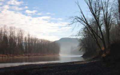 Protecting Vital Farmland Near the Snohomish River