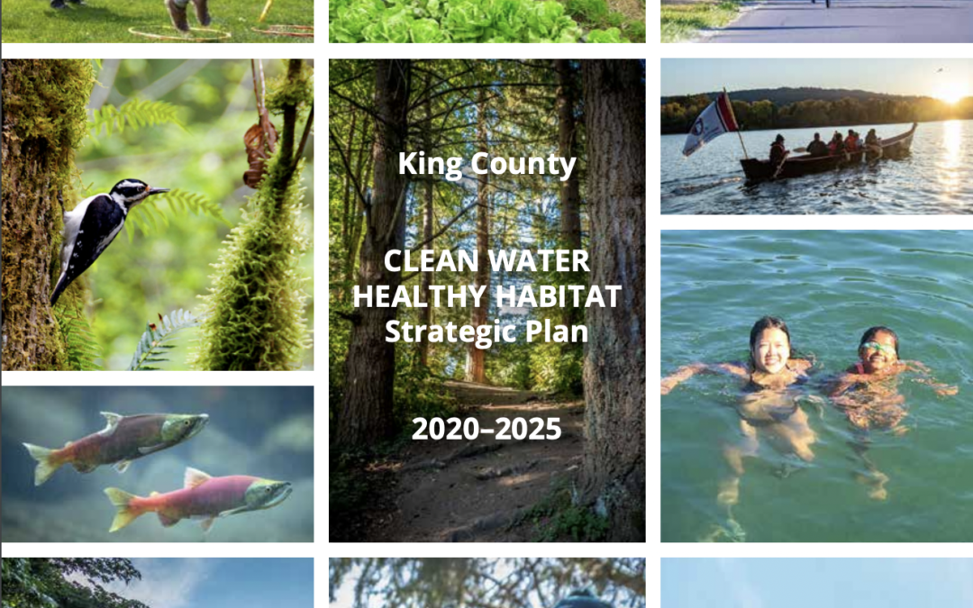 Diving Into King County’s $9B Clean Water Healthy Habitat Initiative