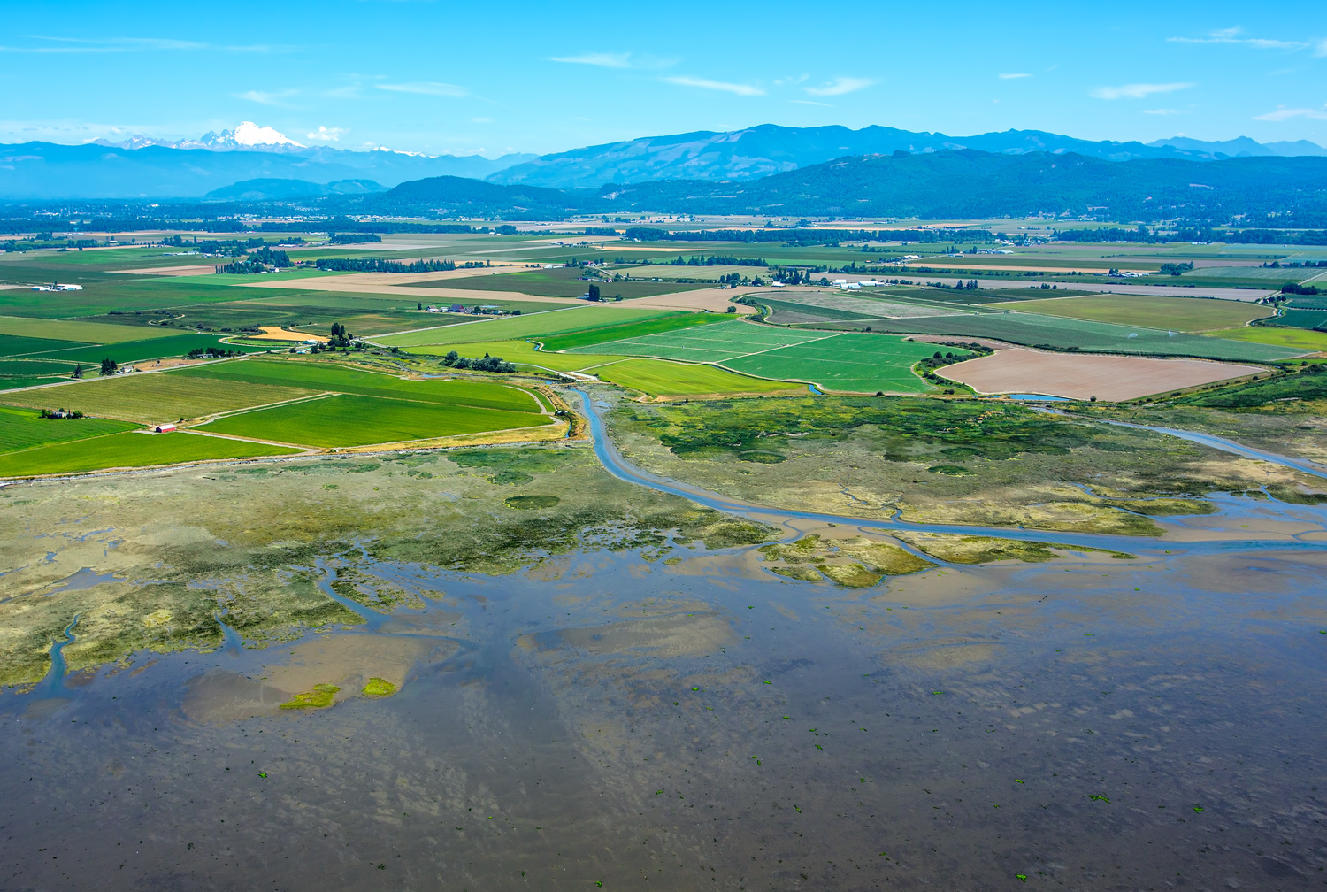 Skagit County's Fir Island farms