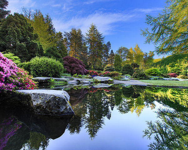 Glassy pond bordered by Japanese foliage
