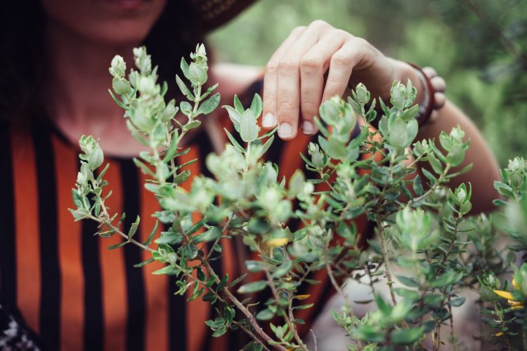 woman touching green leaves with fingers