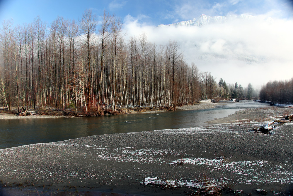 Economic Outcomes of Urban Floodplain Restoration: Implications for Puget Sound