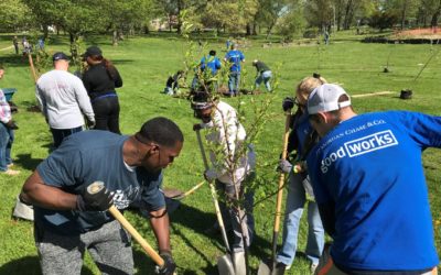 A Conversation With Liz Johnston, Director at City Forest Credits