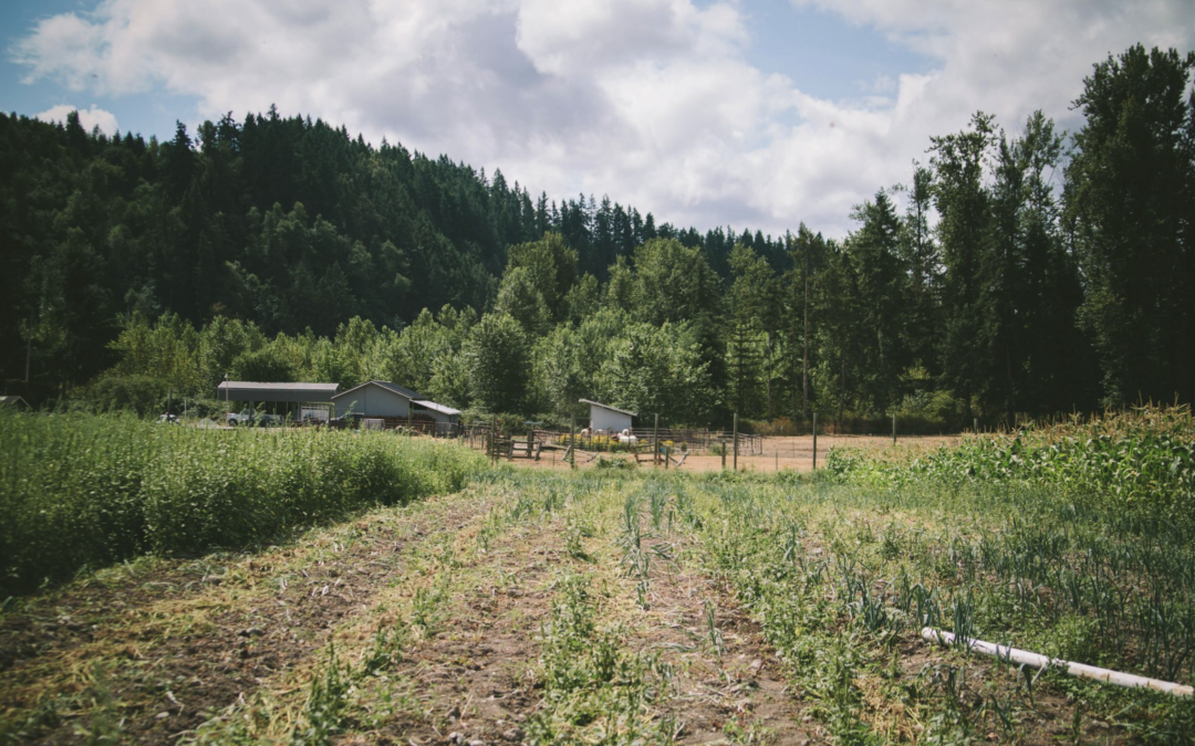 Washington Farmland Trust Releases New Annual Report