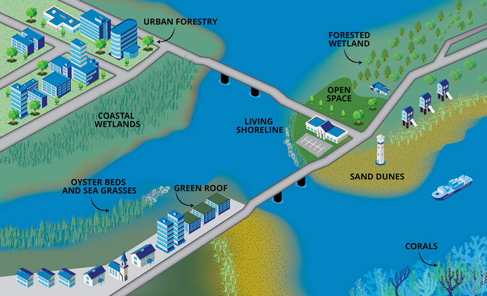 Rethinking Infrastructure to Include Natural Spaces