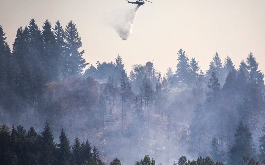 Western Wildfires: Indigenous Knowledge, Watershed Impacts, and Moving Toward a Resilient, Climate-Ready Land Management System