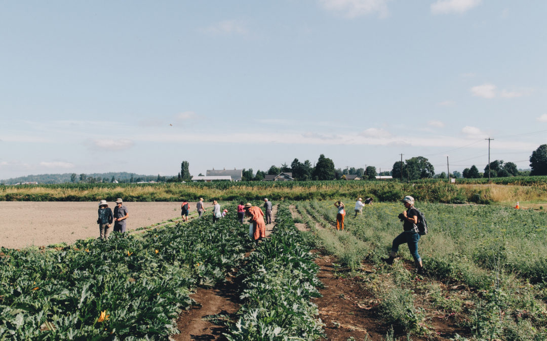 Q&A with Melissa Campbell, Executive Director at Washington Farmland Trust